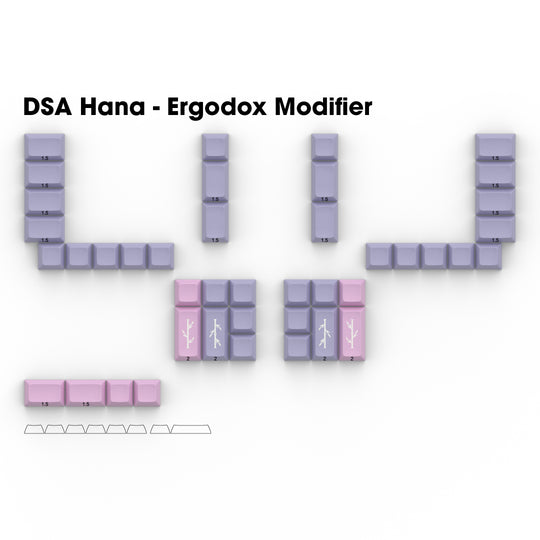 DSA Hana