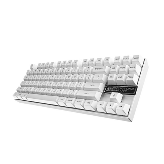 SA-P Snow Cap Individual Keycaps | Text Legends
